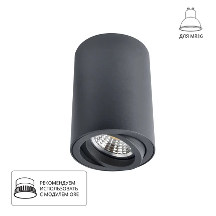 Точечный накладной светильник Arte Lamp SENTRY A1560PL-1BK